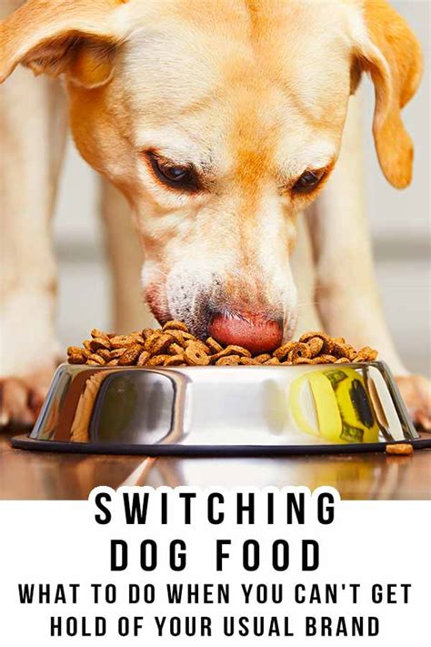 The tricky part is the actual process of switching your pooch from puppy to adult dog food